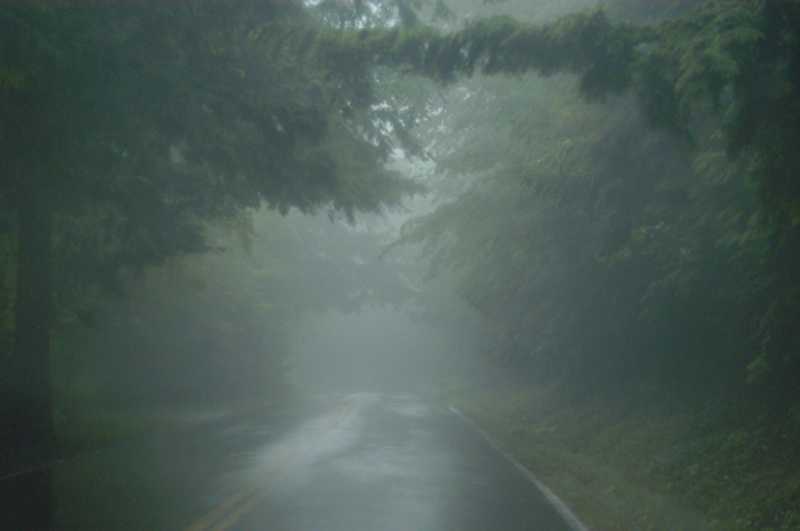 How Did I Decide To Become A CA