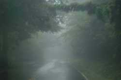 How did I decide to become a CA