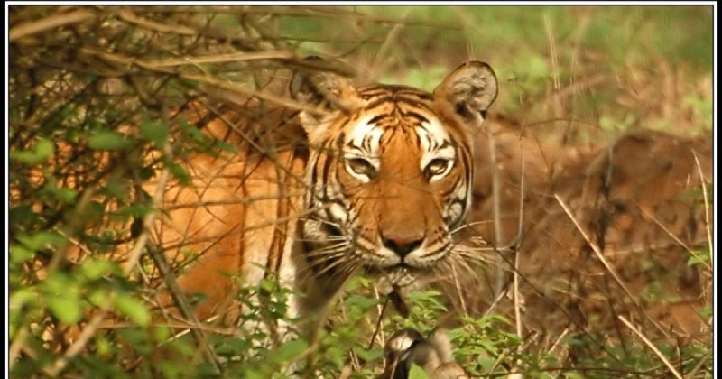 How Do You Travel So Much?