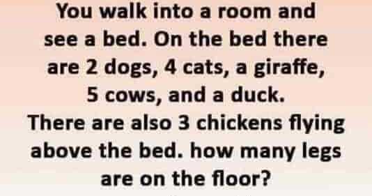 How Many Legs Are On The Floor ?