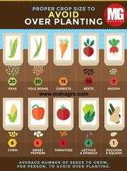 How Many Seeds Should You Plant For Proper Growth?