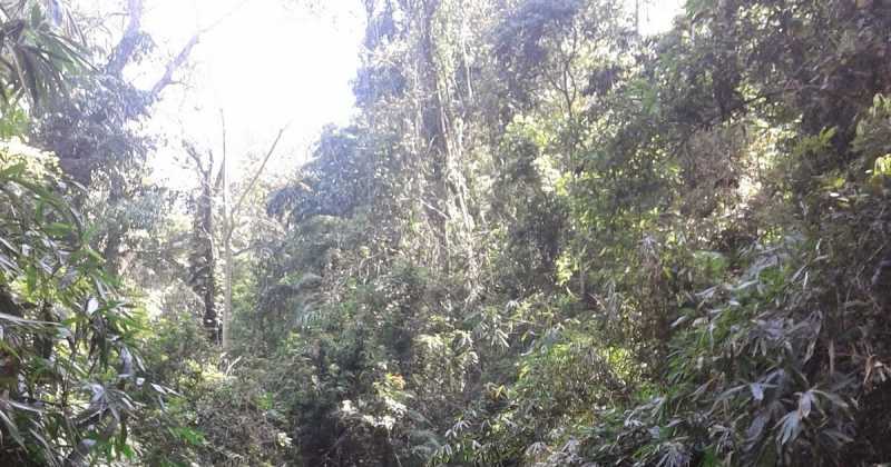 How Not To Do Ponmudi...