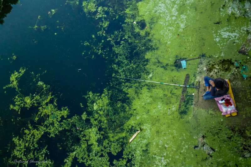 How Safe Is Kashmir For Tourists? What You Need To Know