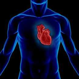 How The Signs Of Heart Problems Can Differ From Men To Women