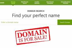 How to Buy Perfect Domain Name For Business Website?