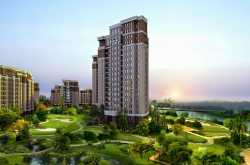 How to Choose the Best Real Estate Builder in Noida?