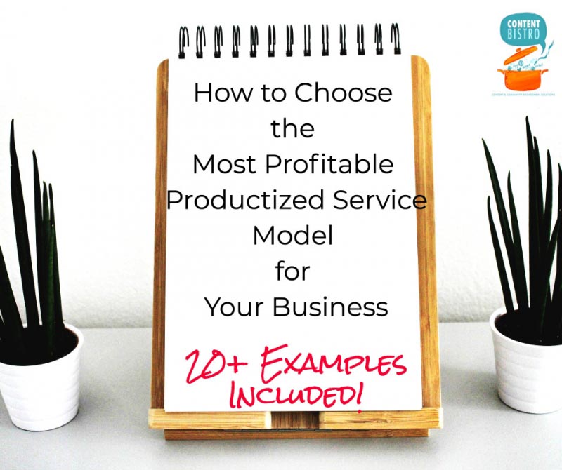 How To Create The Most Profitable Productized Services: 20+ Examples Included 