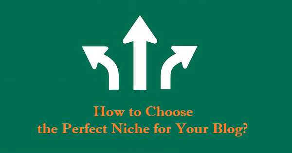 How To Choose The Perfect Niche For Your Blog? - Smart Blogging Ideas