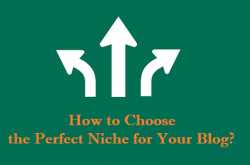 How to Choose the Perfect Niche for Your Blog? - Smart Blogging Ideas