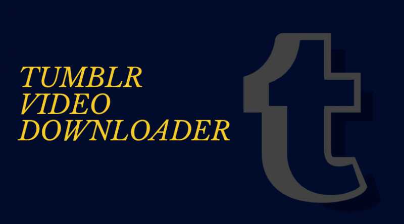 How To Download Tumblr Videos On Android And PC | Techi Bhai