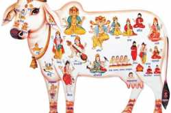 How to Eat Beef in Bengal?