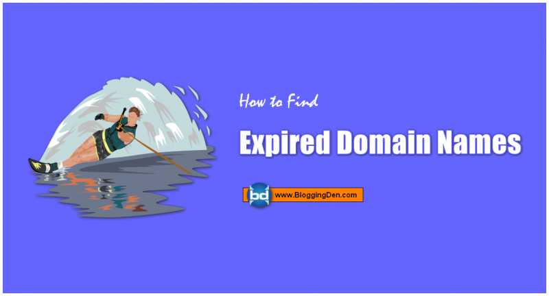 How To Find And Buy Expired Domains In 2019? (Special Guide)