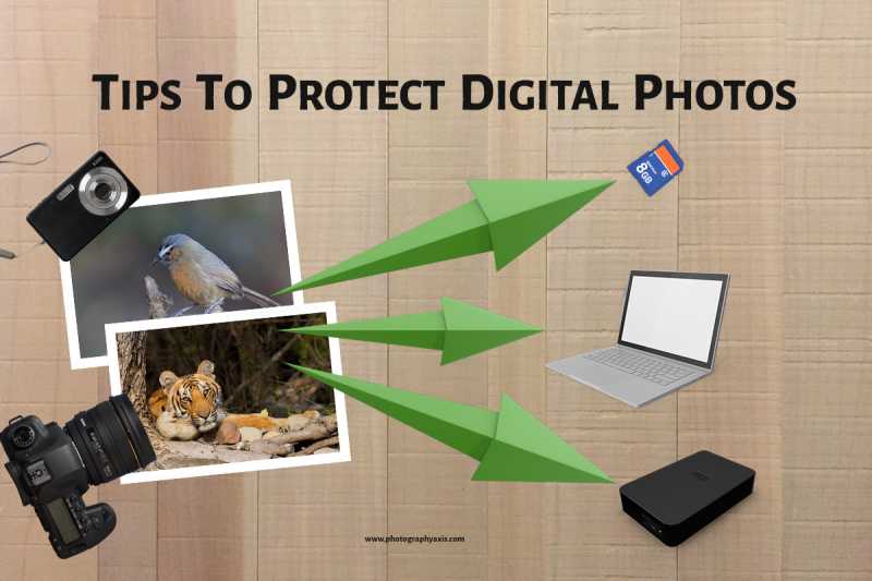 How To Protect Digital Photos? - PhotographyAxis