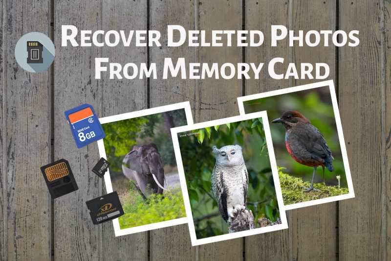 How To Recover Deleted Photos From Memory Card? - PhotographyAxis