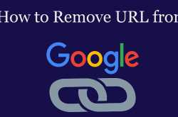How to Remove Url from Google Search?