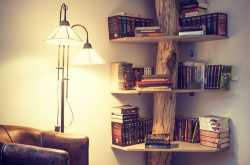 How to Revamp Home Interiors With Your Favourite Bookshelf