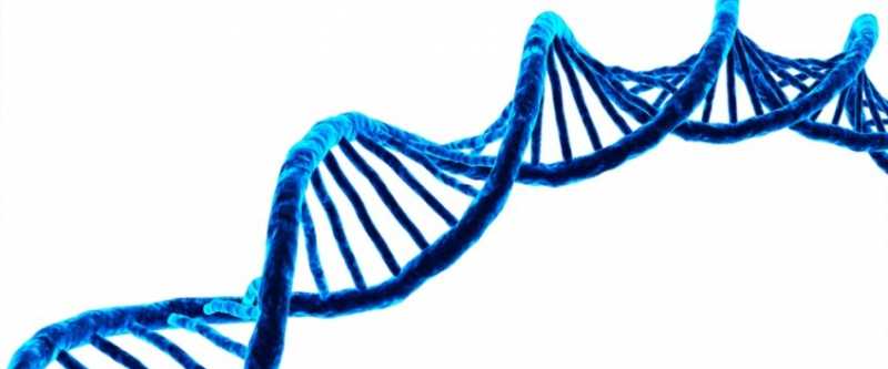 How To See DNA With The Naked Eye - Experiment - BioThix.com