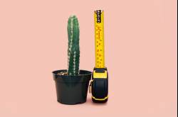 How to Stop Trying to Impress People and Really Start Living