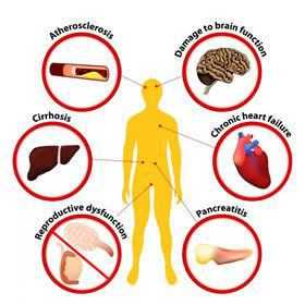 How To Successfully Quit Drinking Alcohol? - Doctor Curex