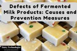 How to Troubleshoot Major Defects of Fermented Milk Products - Dairy Technologist