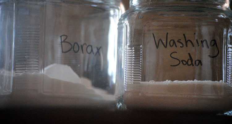 How To Use Borax For Fleas - Cautionary Measures When Using Borax