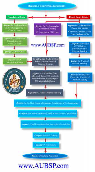 How To Become A Chartered Accountant In India ICAI