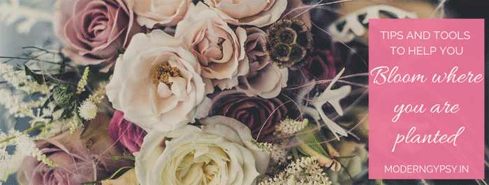 How To Bloom Where You Are Planted + An Intuitive Painting Demo | Modern Gypsy %