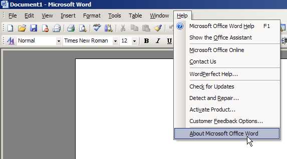 How To Check The Version Of Your MS Word?