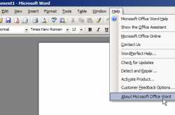 How to check the version of your MS Word?