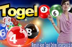 How to choose the best online gambling site? - Four Wheel Reviews