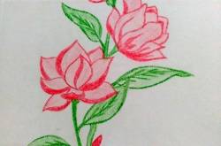 How to draw with a colour pencil