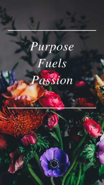 How To Find Your Passion In The World Filled With Options? - Crimson April