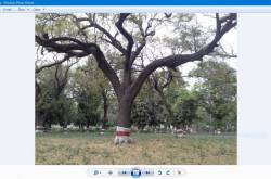 How to get back Windows Photo Viewer in Windows 10 - Windows Code Bits