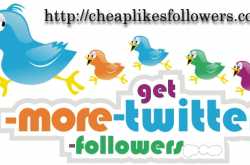 How to get fast 1000 Twitter followers ? - Buy Instagram Followers and Likes Cheap