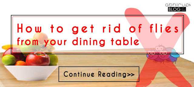 How To Get Rid Of Flies From Your Dining Table By A Home-based Solution