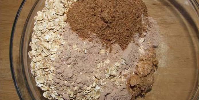 How To Make Homemade Protein Powder | The Fit Mom Project