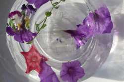 How to make a Ice bowl : Fossil science   decor 