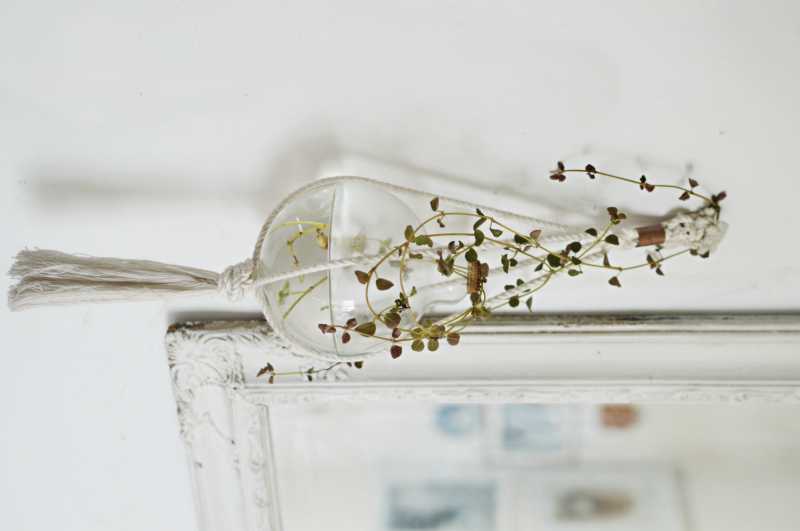 How To Make A Light Bulb Vase Using An Old Edison Lamp