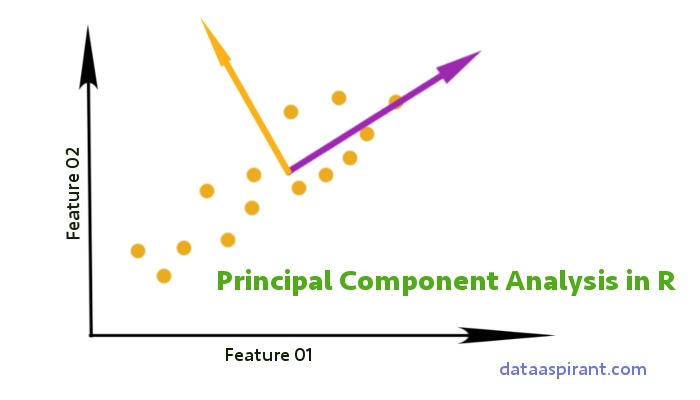 How To Perform The Principal Component Analysis In R