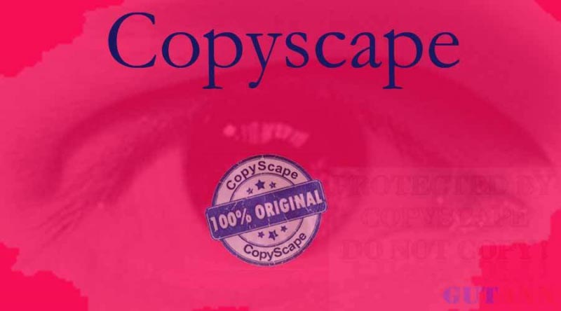 How To Prevent Your Website Or Blog From Plagiarism - GUTANN - Multi Purpose Blog