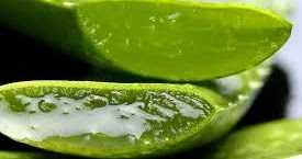 How To Use Aloe Vera On Hair