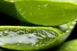 How to use aloe vera on hair