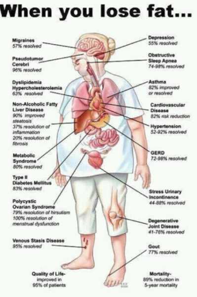 How Your Body Is Benefited When You Lose Fat?