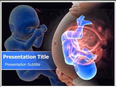 Human Fetus Development PowerPoint Template - Human Fetus PowerPoint Template
