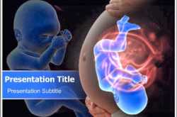 Human Fetus Development PowerPoint Template - Human fetus PowerPoint template