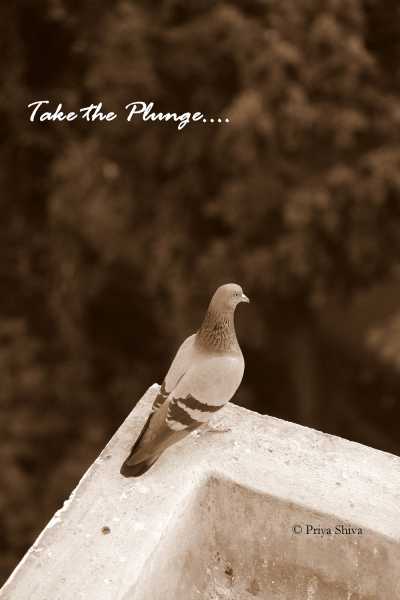 Human And Emotions - Self Motivation