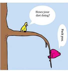 I Eat And Cheat! I Lie And Deep Fry!