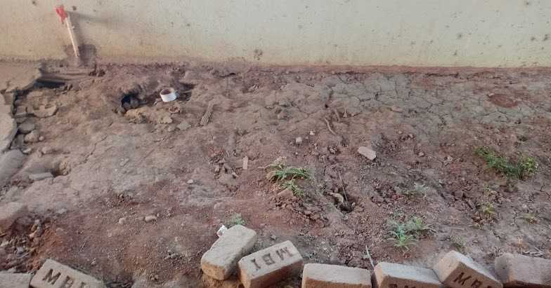 I Have A Dream..............