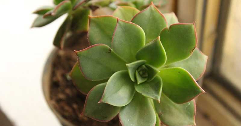 I Like To Move It, Move It!