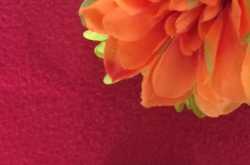 I Phone X Pink Case- \"A Cool Option for Mobile Cover Case\"